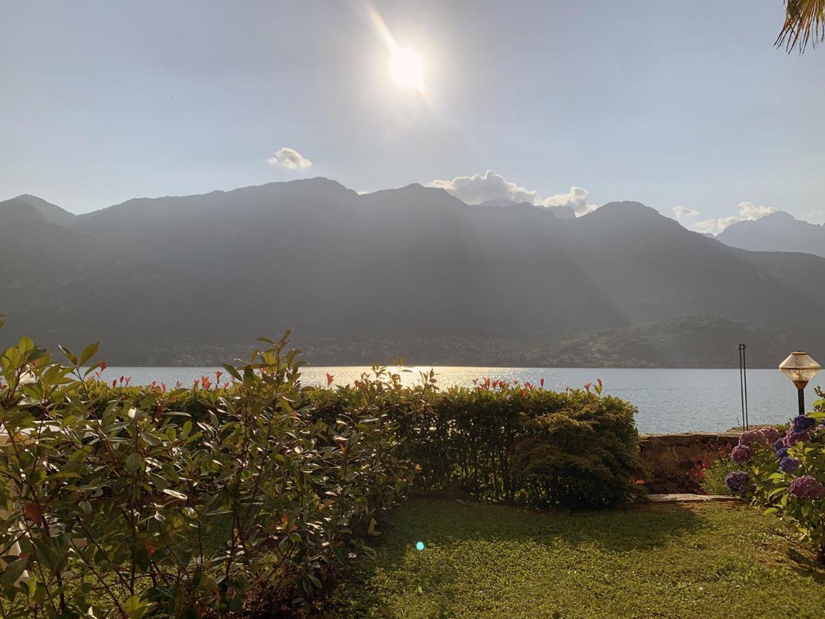 Terrace On The Lake Apartment Oliveto Lario Екстериор снимка